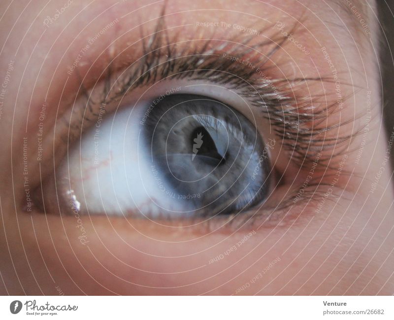 Seitenblick Nahaufnahme Wimpern Pupille Mensch Auge Makroaufnahme Detailaufnahme Regenbogenhaut