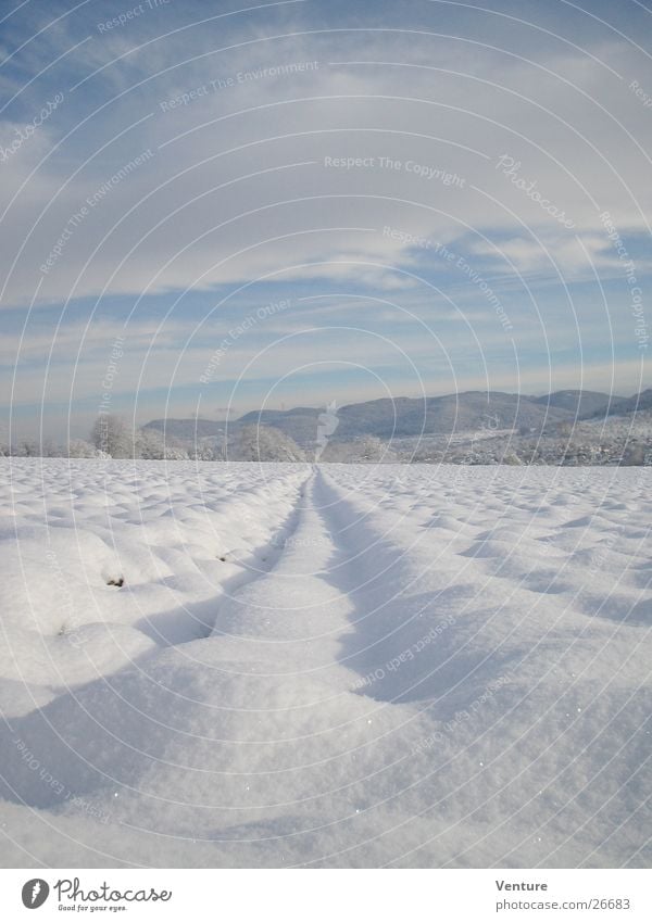 Schneeflucht Winter Wolken Feld kalt frieren gefroren Dezember Januar Februar Spuren Fluchtpunkt Einsamkeit Luft Hügel Sonnenaufgang Himmel Eis Perspektive