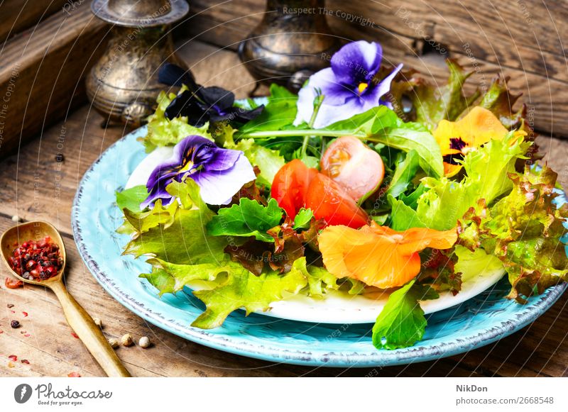 Entgiftungsblumen-Salat saubere Lebensmittel Salatbeilage Blume frisch essbar grün Gesundheit Vegetarier Frühling Gemüse Diät Speise Kraut Kräuterbuch weiß
