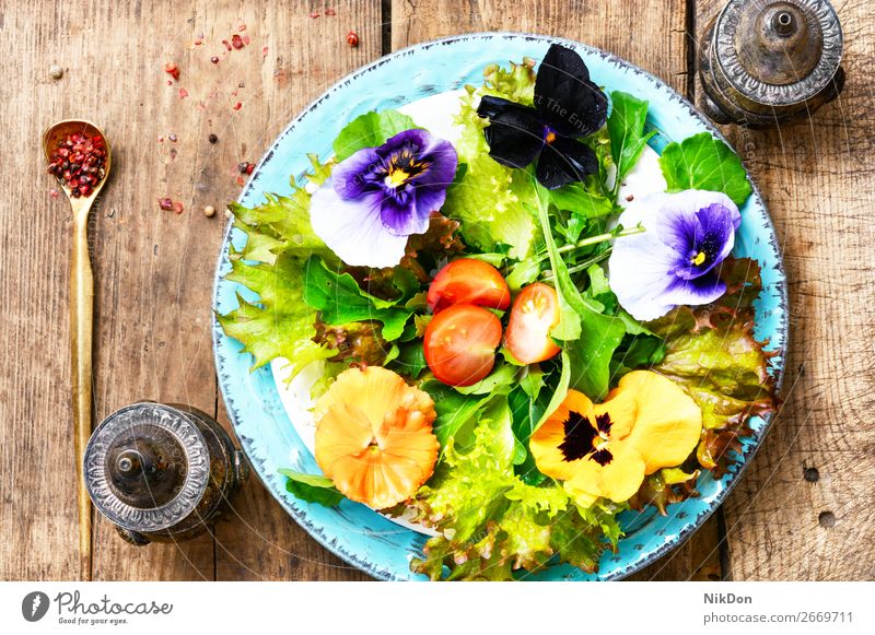 Frühlingsblumen-Salat saubere Lebensmittel Salatbeilage Blume frisch essbar grün Gesundheit Vegetarier Gemüse Diät Speise Kraut Kräuterbuch weiß organisch