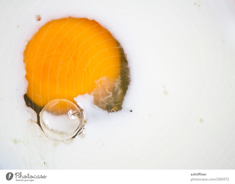 Strampelndes Ei Lebensmittel Ernährung gelb weiß Eiklar Eigelb Blase rund Nahaufnahme Detailaufnahme Spiegelei