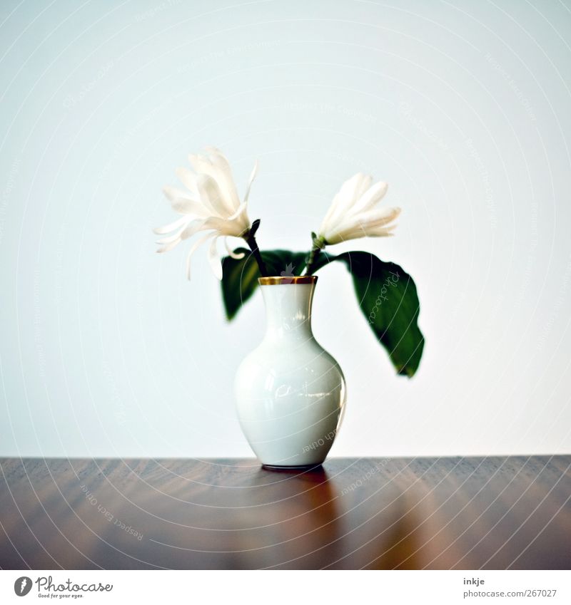 für Omi ! Dekoration & Verzierung Vase Feste & Feiern Muttertag Geburtstag Blume Blumenstrauß Magnoliengewächse Magnolienblüte Blühend stehen Originalität schön