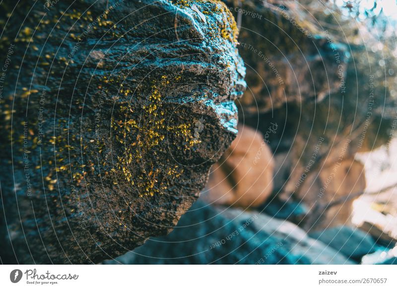 Ein großer, geneigter Stein mit etwas Moos und mehr unfokussierten Steinen im Hintergrund Gesicht Leben Berge u. Gebirge Umwelt Natur Landschaft Pflanze Felsen