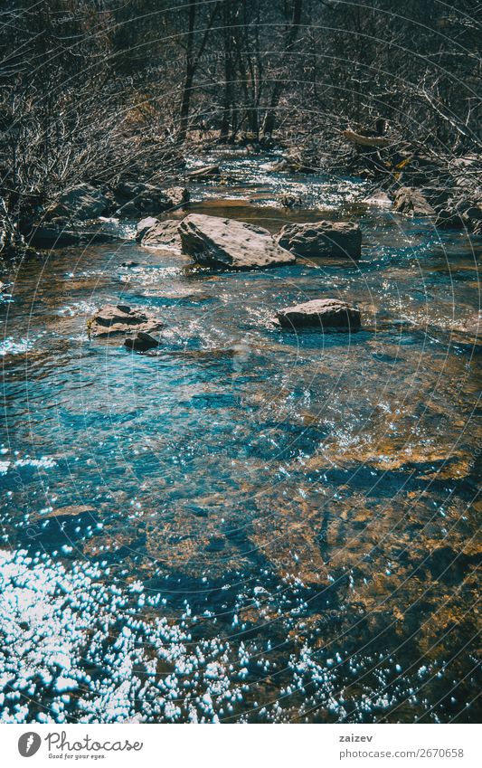 Ein Fluss, in dem einige große Steine fließen, umgeben von kahlen Bäumen schön Ferien & Urlaub & Reisen Tourismus Abenteuer Wellen Winter Berge u. Gebirge