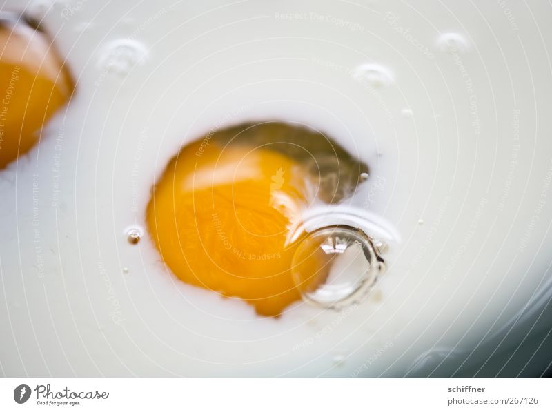 Strampelnde Eier II Lebensmittel Ernährung gelb weiß Eigelb Luftblase rund Nahaufnahme Detailaufnahme Menschenleer Spiegelei Eiklar