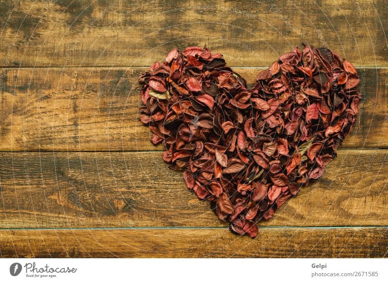 Schönes Herz mit trockenen Blütenblättern schön Dekoration & Verzierung Feste & Feiern Hochzeit Natur Pflanze Blume Holz Liebe rot Leidenschaft Romantik