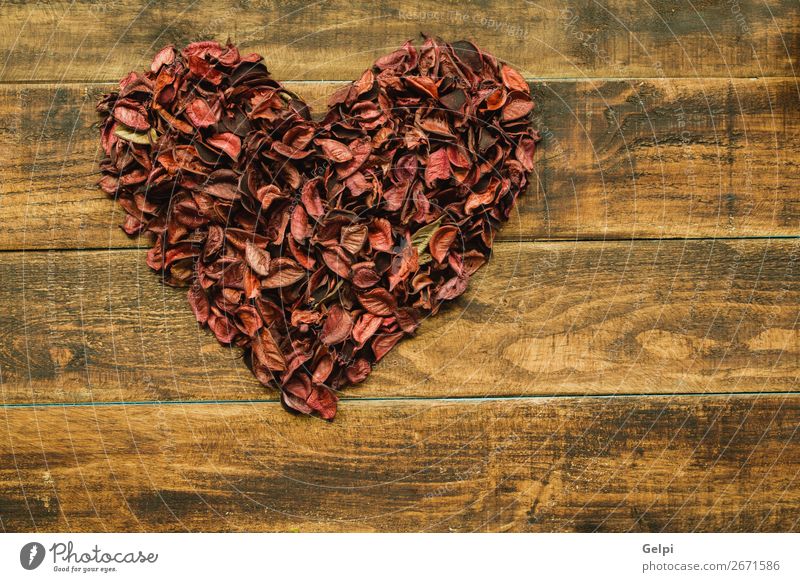 Schönes Herz mit trockenen Blütenblättern schön Dekoration & Verzierung Feste & Feiern Hochzeit Natur Pflanze Blume Holz Liebe rot Leidenschaft Romantik