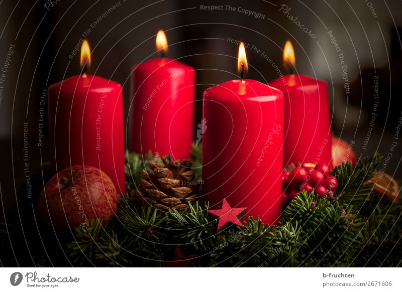 Adventskranz Weihnachten & Advent Pflanze Zeichen leuchten warten rot Stimmung Geborgenheit Hoffnung Glaube Frieden Religion & Glaube Liebe 4 Kerze Kerzenschein
