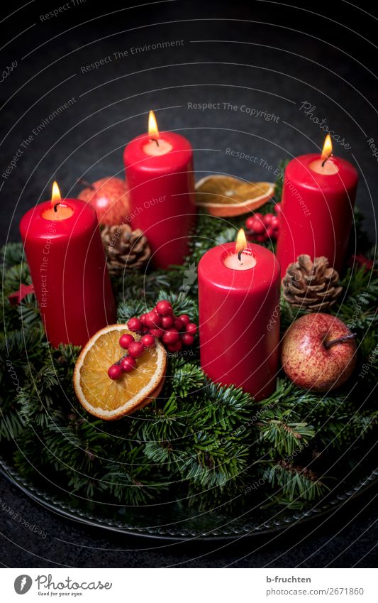 Advent harmonisch ruhig Feste & Feiern Weihnachten & Advent gebrauchen Blick warten dunkel rot Vorfreude Neugier Hoffnung Glaube geheimnisvoll Religion & Glaube