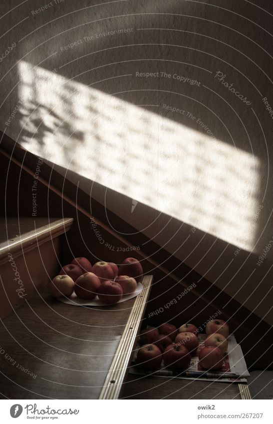 Apple Inc. Lebensmittel Frucht Apfel Ernährung Bioprodukte Vegetarische Ernährung Häusliches Leben Treppe Treppenhaus Kellertreppe leuchten liegen warten
