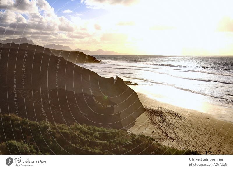 Westcoast Fuerte Ferien & Urlaub & Reisen Tourismus Ausflug Abenteuer Natur Landschaft Sand Himmel Wolken Frühling Schönes Wetter Baum Sträucher Wellen Küste