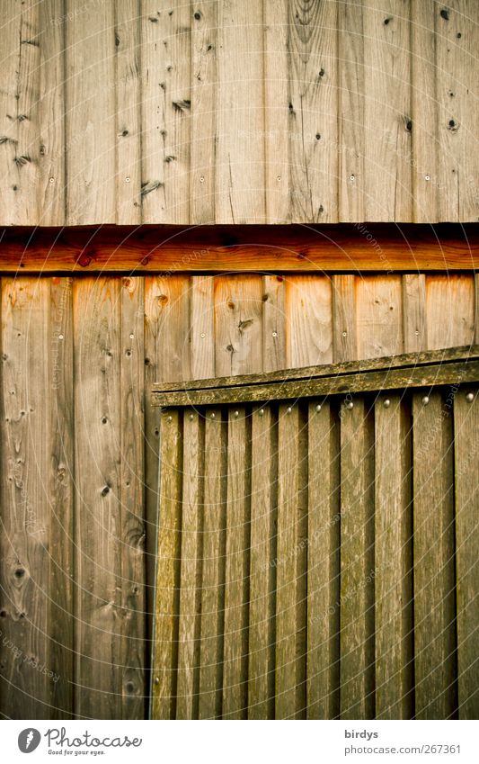 Bretterbude Hütte Fassade Tür authentisch natürlich braun Holzbrett Eingangstor Anschnitt roh einfach Farbfoto Gedeckte Farben Außenaufnahme Menschenleer