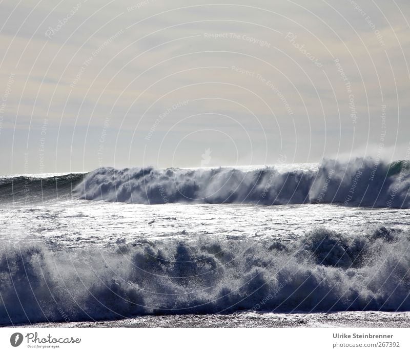 Brecher II Natur Urelemente Wasser Himmel Wellen Küste Meer Atlantik Insel Fuerteventura Bewegung bedrohlich frisch wild Kraft Brandung Gischt Energiewirtschaft