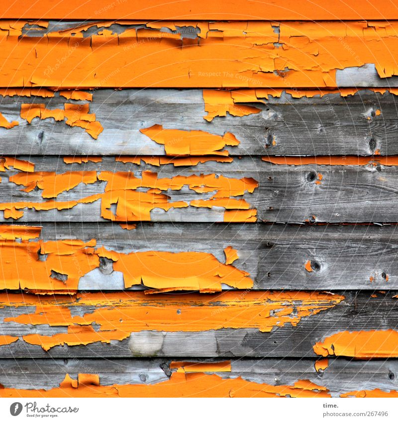 verlebt Mauer Wand Fassade Holz alt dreckig hässlich kaputt trashig beweglich Desaster Schwäche Verfall Vergänglichkeit Verzweiflung Wandel & Veränderung Lack