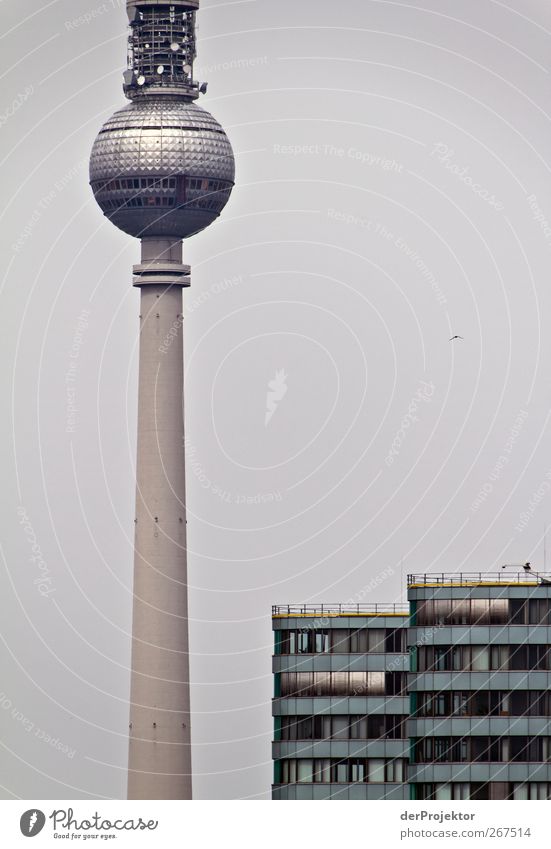 Warum steht ihr eigentlich so auf Berlinbilder mit dem Alex? Technik & Technologie Telekommunikation Hauptstadt Skyline Hochhaus Turm Fassade Sehenswürdigkeit