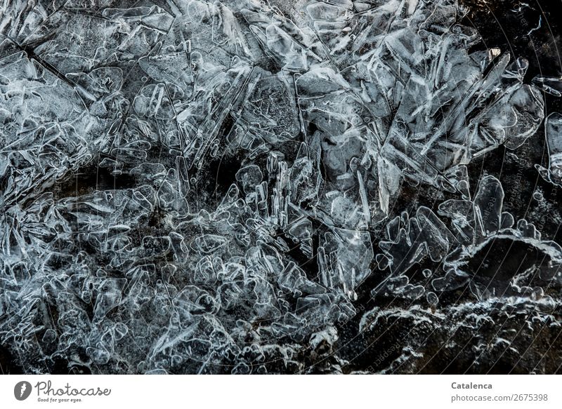 *800* Spitzen und Zacken. Eis einer gefrorenen Pfütze Winter Frost Strukturen & Formen Eiskristall kalt Stimmung Design Natur Umwelt Farbfoto Gedeckte Farben
