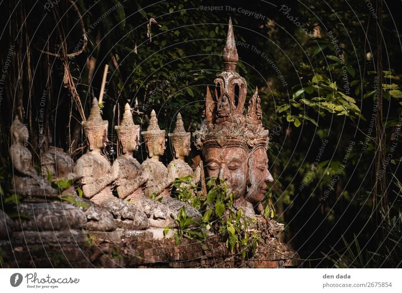 Kloster Wat Pha Lat Tourismus Urwald Chiangmai Thailand Asien Garten Sehenswürdigkeit wat Pha Lat ästhetisch Buddhismus Buddha Statue alt Antike Stätte Farbfoto