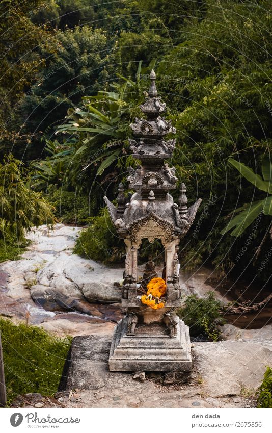 Wat Pha Lat Temple Chiang Mai Kunstwerk Skulptur Landschaft Palme Park Urwald Hügel Felsen Bach Fluss Wasserfall Chiangmai ruhig Weisheit Tempel Buddhismus