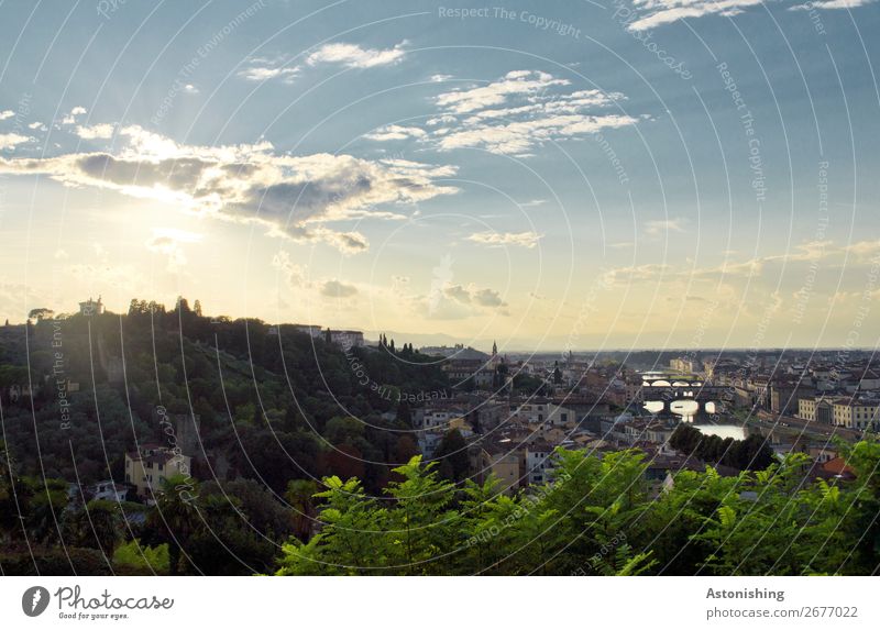Stadt in der Abendsonne Umwelt Natur Landschaft Luft Himmel Wolken Horizont Sonne Sonnenaufgang Sonnenuntergang Wetter Pflanze Hügel Fluss Arno Florenz Italien