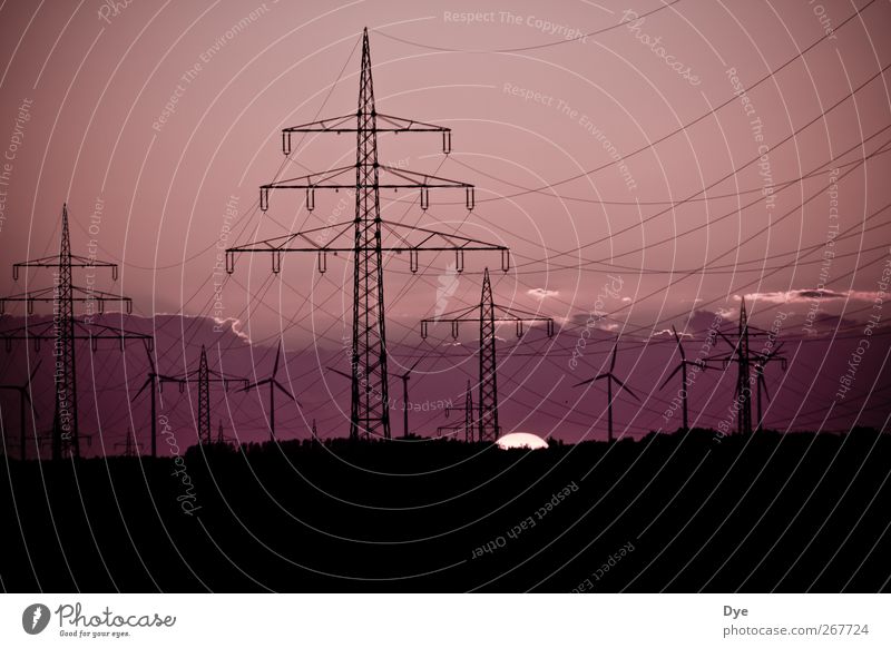 Energie in allen Variationen 2 Kabel Energiewirtschaft Erneuerbare Energie Windkraftanlage Energiekrise Himmel Wolken Sonnenaufgang Sonnenuntergang standhaft