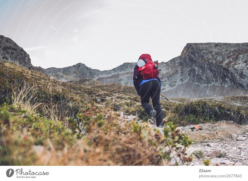 Junge Frau bei Aufstieg zum Gipfe | Alpenüberquerung Freizeit & Hobby Ferien & Urlaub & Reisen Berge u. Gebirge wandern Jugendliche 18-30 Jahre Erwachsene Natur
