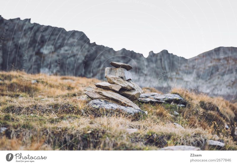 Steinmensch wandern Klettern Bergsteigen Natur Landschaft Herbst Schönes Wetter Gras Felsen Alpen Berge u. Gebirge hoch nachhaltig natürlich Idylle ruhig Umwelt