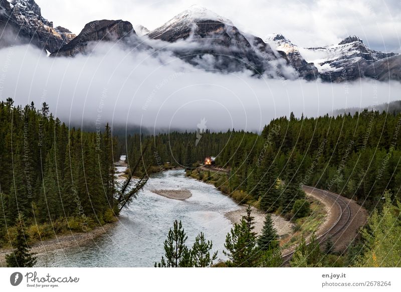 Fernweh | da kommt er Ferien & Urlaub & Reisen Ausflug Umwelt Natur Landschaft Nebel Wald Berge u. Gebirge Rocky Mountains Fluss Schienenverkehr Eisenbahn