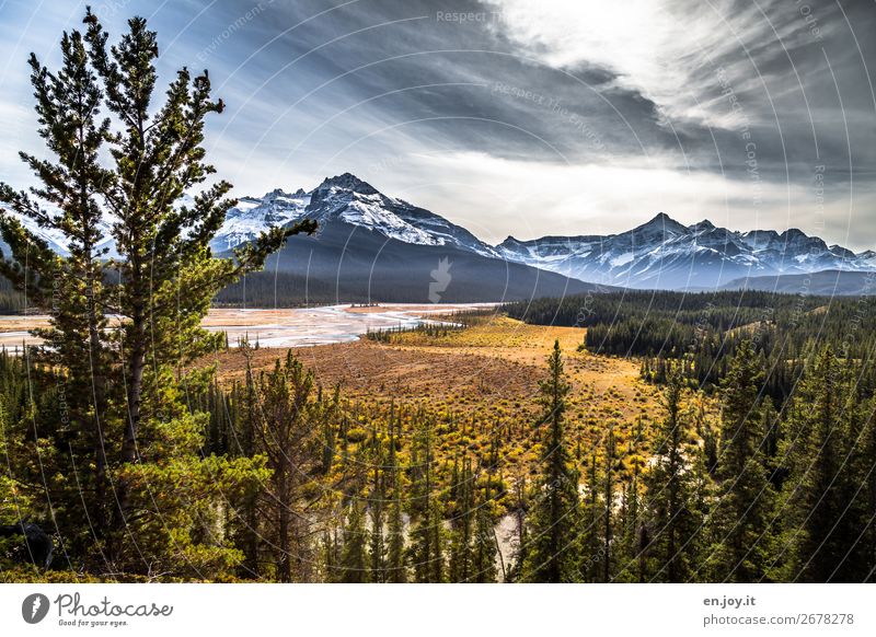 Landschaft Ferien & Urlaub & Reisen Ausflug Abenteuer Ferne Freiheit Expedition Berge u. Gebirge Natur Pflanze Himmel Sonne Sonnenlicht Herbst Wald