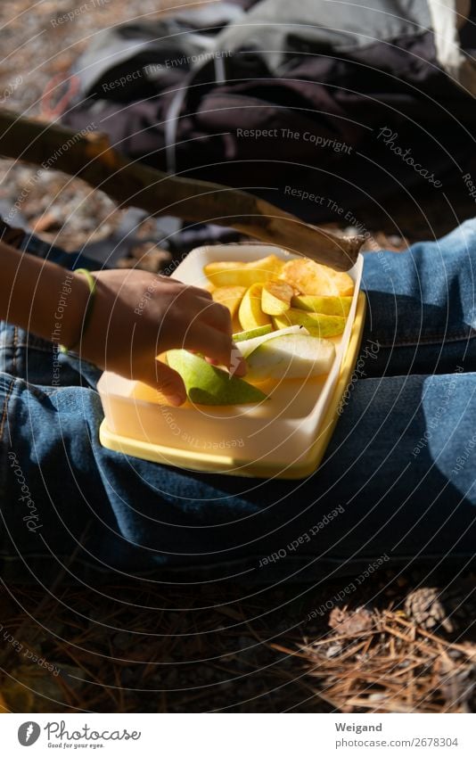 Picknick mit Früchten, Orangensaft, Quesadilla und Käsekuchen - ein ...