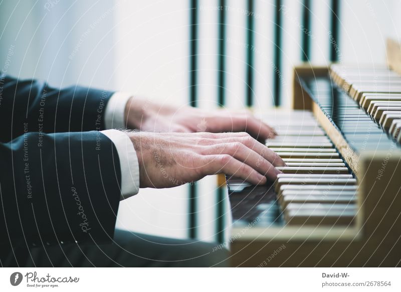 Organist Freizeit & Hobby Spielen Mensch maskulin Junger Mann Jugendliche Erwachsene Leben Hand Finger 1 Kunst Künstler Kultur Musik Musik hören Konzert