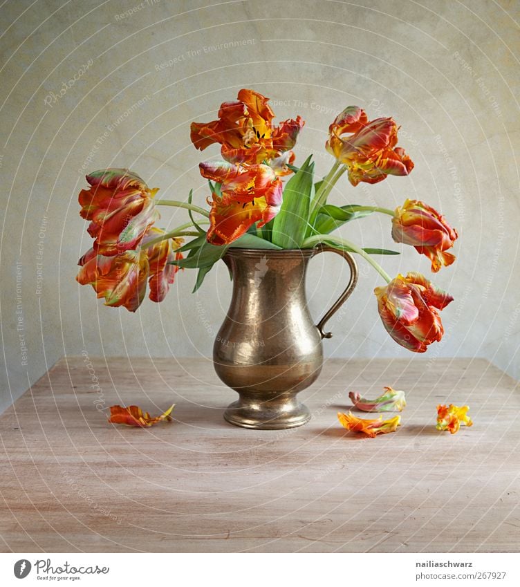 Stillleben mit Tulpen Kunst Natur Pflanze Frühling Blume Blüte Blumenstrauß Vase Holz Metall ästhetisch braun grün rot Zeit welk verblüht Farbfoto mehrfarbig