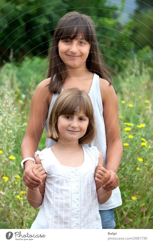 Zwei schöne lächelnde Schwestern Lifestyle Freude Glück Gesicht Leben Kind Mensch Frau Erwachsene Paar Kindheit Mund Blume Gras brünett blond Lächeln