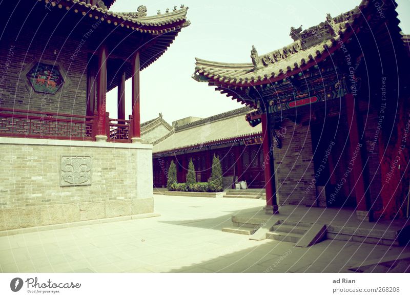 stille Sträucher Efeu Park Xi'an China Altstadt Menschenleer Haus Platz Architektur Tempel Fassade Dach authentisch eckig Stadt historisch alt Tradition ruhig