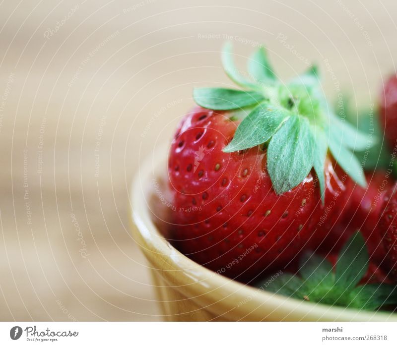 strawberry day Lebensmittel Frucht Ernährung grün rot Erdbeeren fruchtig lecker saftig Fitness geschmackvoll geschmacklich Appetit & Hunger Gesunde Ernährung