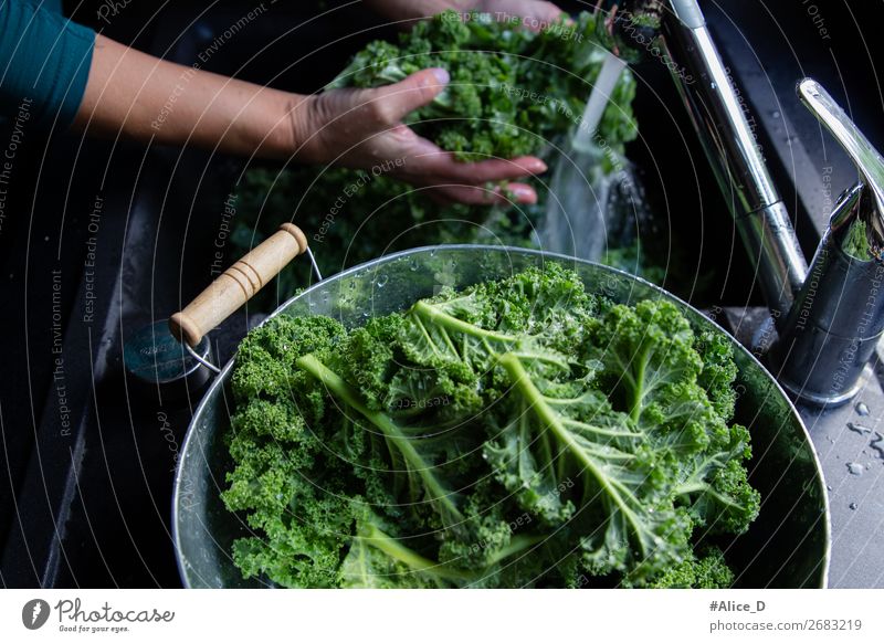 Grünkohl Waschen winter superfood Lebensmittel Gemüse Salat Salatbeilage Kohl Grünkohlblatt Ernährung Bioprodukte Vegetarische Ernährung Diät Fasten Lifestyle
