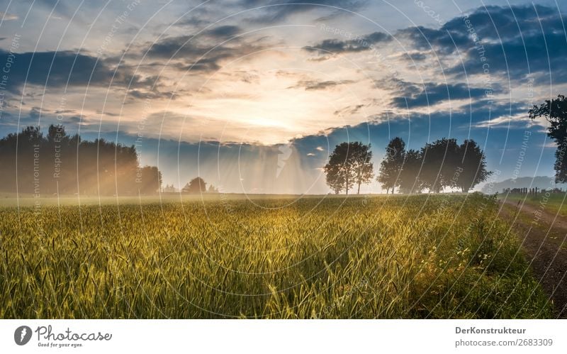 Nach dem Gewitter - Sonnenuntergangsstimmung auf dem Land Sommer wandern Landwirtschaft Forstwirtschaft Umwelt Natur Landschaft Wolken Horizont Sonnenaufgang
