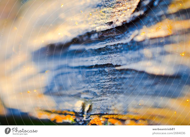 Abstrakter Hintergrund aus Holzbaumstamm gelb gold Unschärfe abstrakt Material Baumstamm Natur Nahaufnahme Hintergrundbild formatfüllend Menschenleer Pflanze