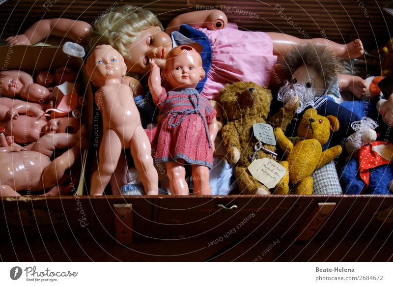Kindheitsrelikte Kindererziehung Kleid Spielzeug Puppe Teddybär Stofftiere entdecken Erholung Spielen Wachstum Fröhlichkeit natürlich mehrfarbig Gefühle Freude
