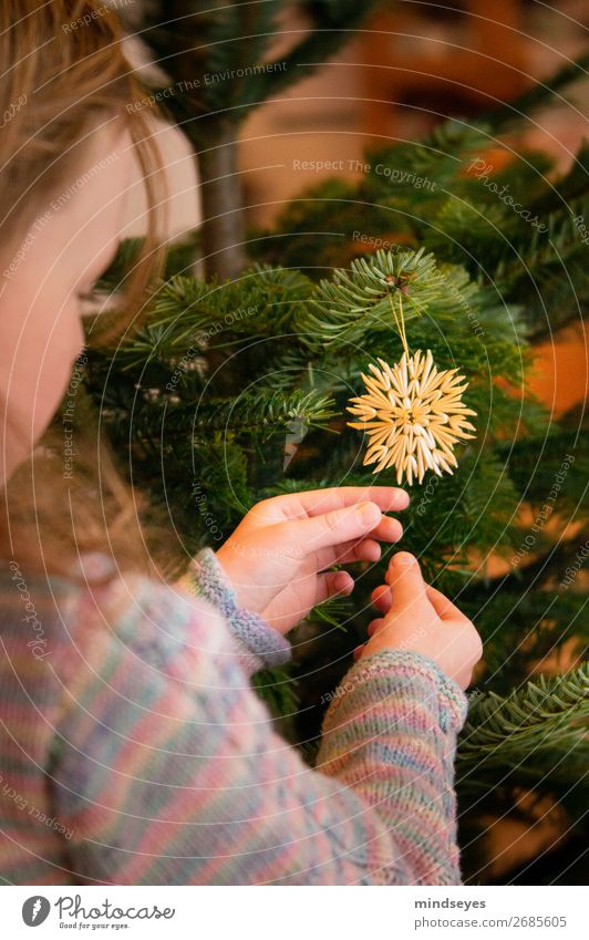 Christbaum schmücken Häusliches Leben Wohnzimmer Weihnachten & Advent Mädchen 1 Mensch 3-8 Jahre Kind Kindheit leuchten träumen Geborgenheit Zusammensein