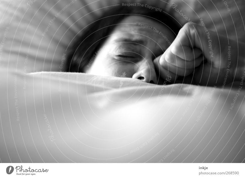 Frühjahrsmüdigkeit Krankheit Erholung ruhig Häusliches Leben Bett Erwachsene Gesicht 1 Mensch 30-45 Jahre Federbett Bettwäsche Bettdecke schlafen träumen
