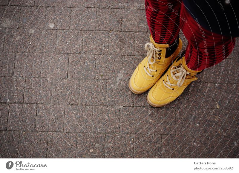 one by one Stil Bekleidung Strumpfhose Stoff Leder Schuhe Stiefel stehen trendy einzigartig modern verrückt feminin gelb rot ästhetisch Selbstständigkeit