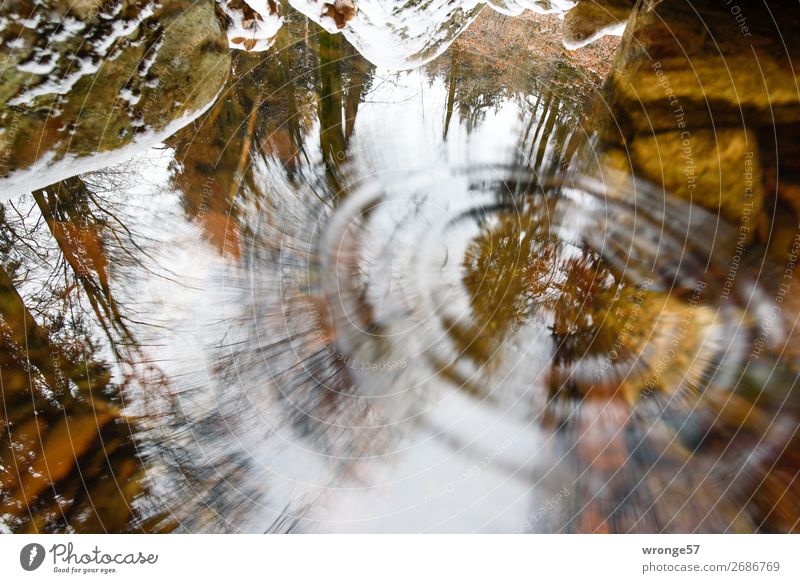 Gedankenspiele | Gravitationwellen Natur Erde Luft Wasser Herbst Baum Moos Wald Felsen Flussufer Harz nass braun grau grün Wasseroberfläche