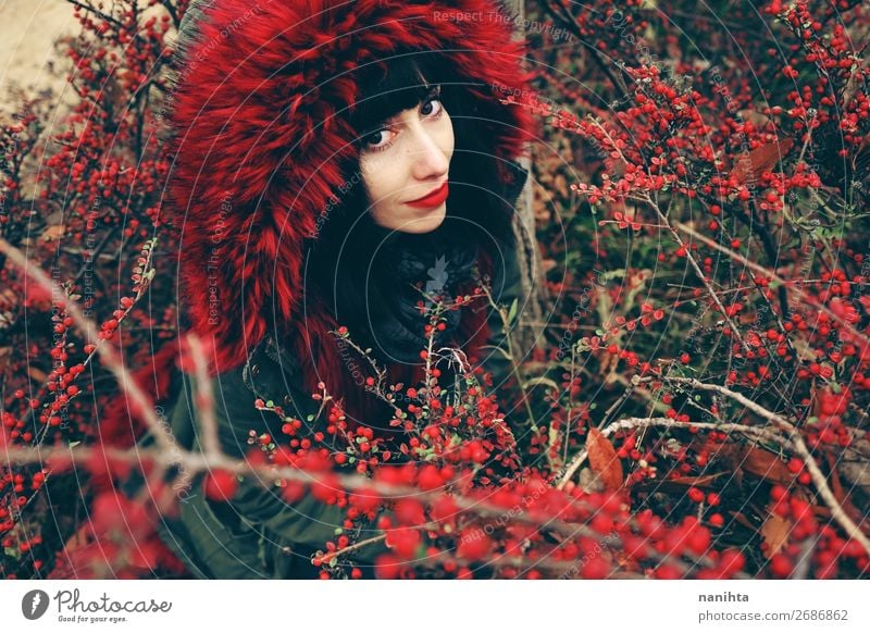 schöne junge brünette Frau in rot Lifestyle Stil Gesicht Winter Mensch feminin Erwachsene Jugendliche 1 18-30 Jahre Natur Herbst Sträucher Wald Mantel