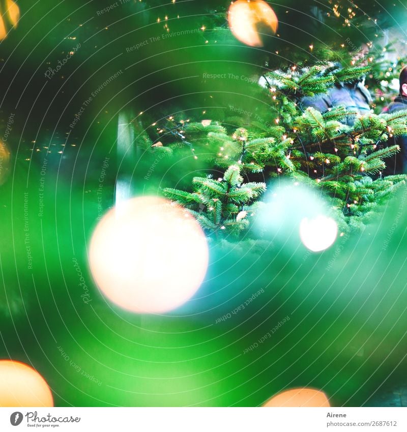 Lichterbaum II Weihnachten & Advent Weihnachtsbaum Baum Dekoration & Verzierung Kerze Lichterkette leuchten gelb türkis weiß Gefühle Freude Hoffnung Glaube