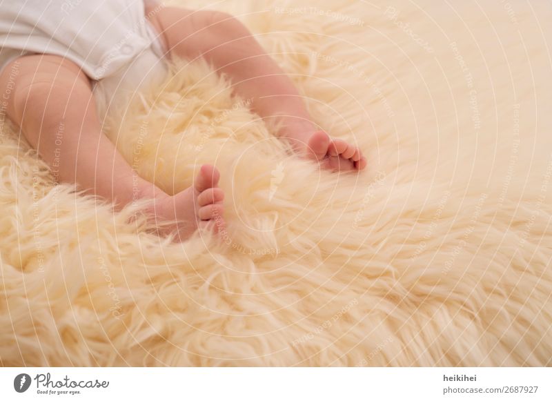 Little Baby Glück schön Wohlgefühl Zufriedenheit Erholung ruhig Wohnung Mensch Körper Haut Beine Fuß 1 0-12 Monate liegen schlafen fantastisch Gesundheit