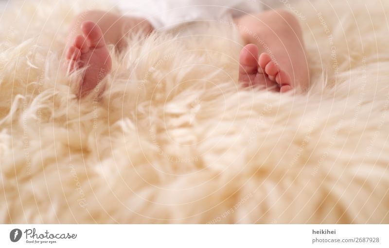 Babyfüßchen feminin Fuß 1 Mensch 0-12 Monate liegen Zehen klein neugeboren Fell zart hell Einladung danke schön Liebe Vertrauen dankbar Wunder wunderbar