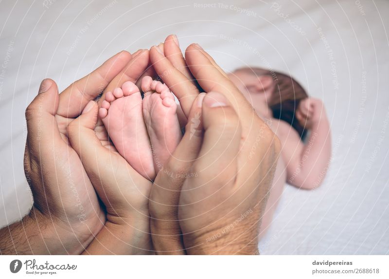 Elternhände halten Füße von Neugeborenen, die über dem Bett liegen. schön Haut Leben Schlafzimmer Kind Mensch Baby Erwachsene Mutter Vater