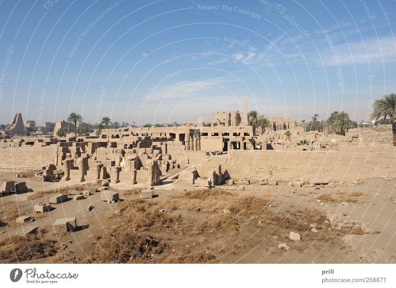 Precinct of Amun-Re in Egypt Tourismus Dekoration & Verzierung Kultur Bauwerk Gebäude Architektur Mauer Wand Sehenswürdigkeit Denkmal Stein alt groß historisch
