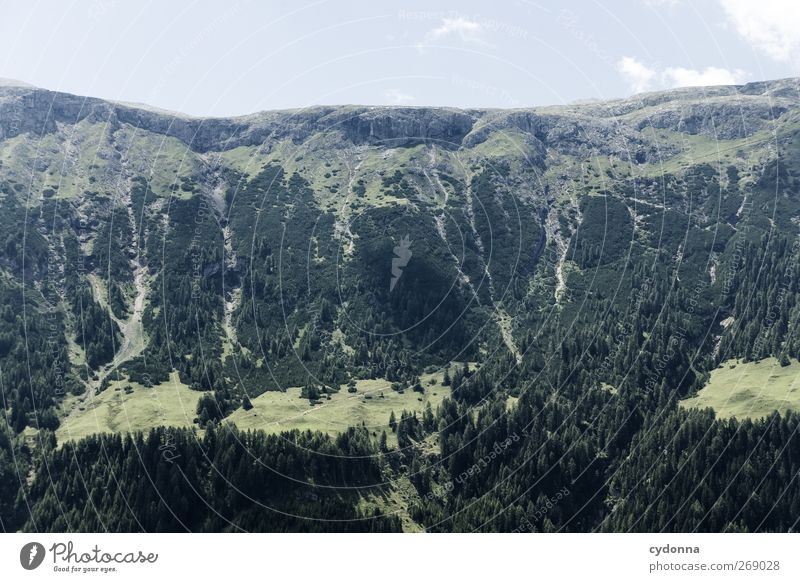Höher als es aussieht Leben Erholung ruhig Ferien & Urlaub & Reisen Tourismus Ausflug Ferne Freiheit wandern Umwelt Natur Landschaft Himmel Sommer Wald Alpen