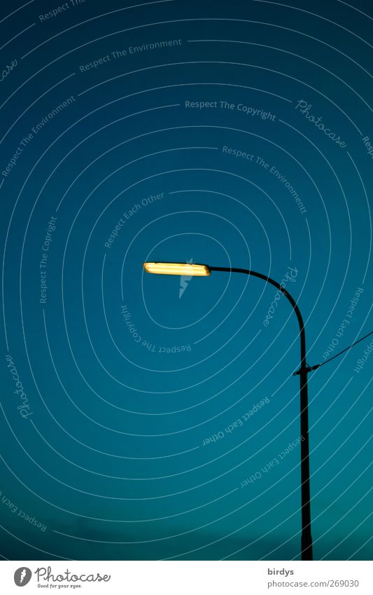 Erhellend Straßenbeleuchtung leuchten authentisch blau gelb Energie Stadt Licht gekrümmt 1 Kabel Nachthimmel Lampe erleuchten Farbfoto Außenaufnahme
